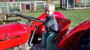 oliver on tractor