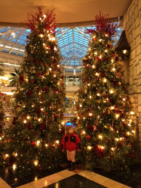 Santa at Somerset Mall - Nov 2015, Santa's Castle, B C