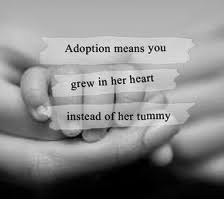 adoption-blog-2