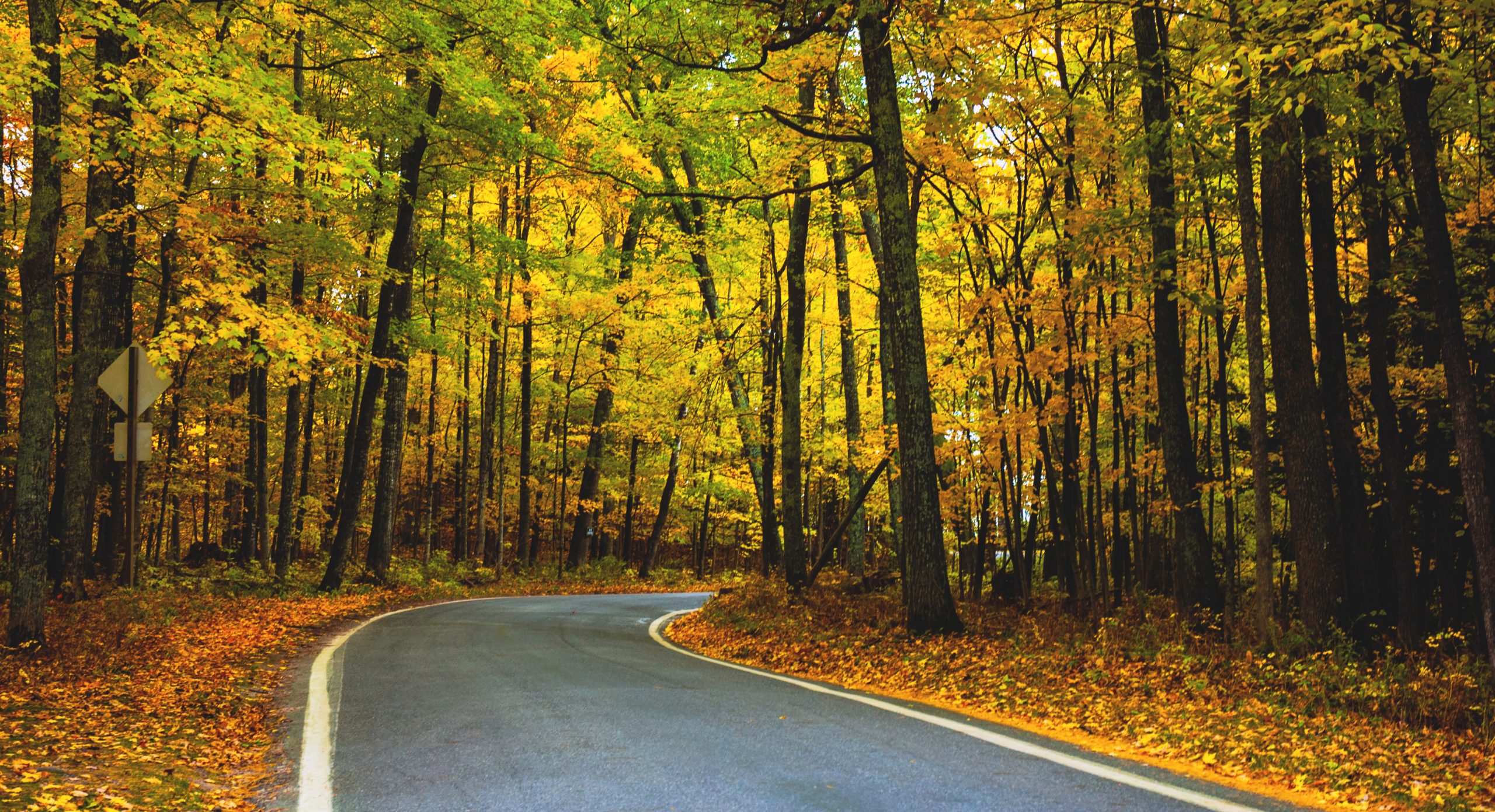 Michigans Top 5 Fall Foliage Scenic Drives