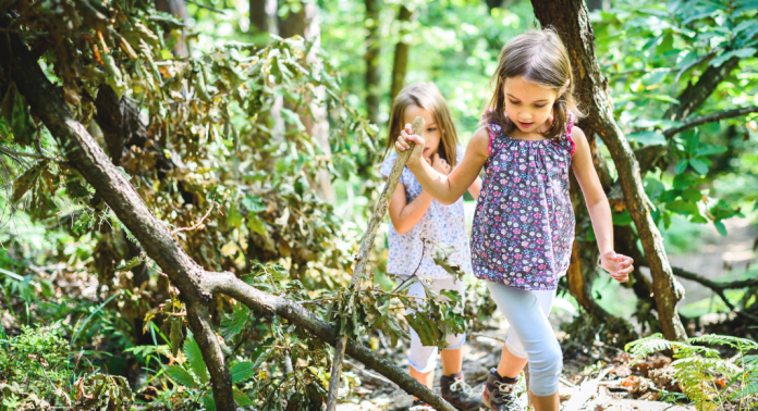 girls walking in woods, paying attention to ticks